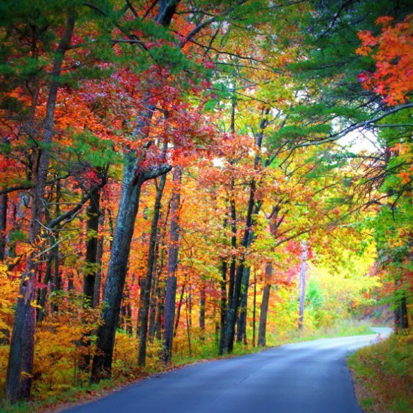 ocoee scenic byway
